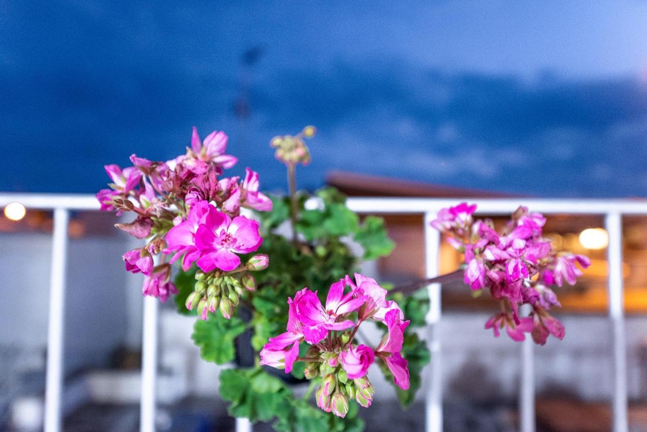 Bed and Breakfast La Scalinata Марина-ді-Манкаверса Екстер'єр фото